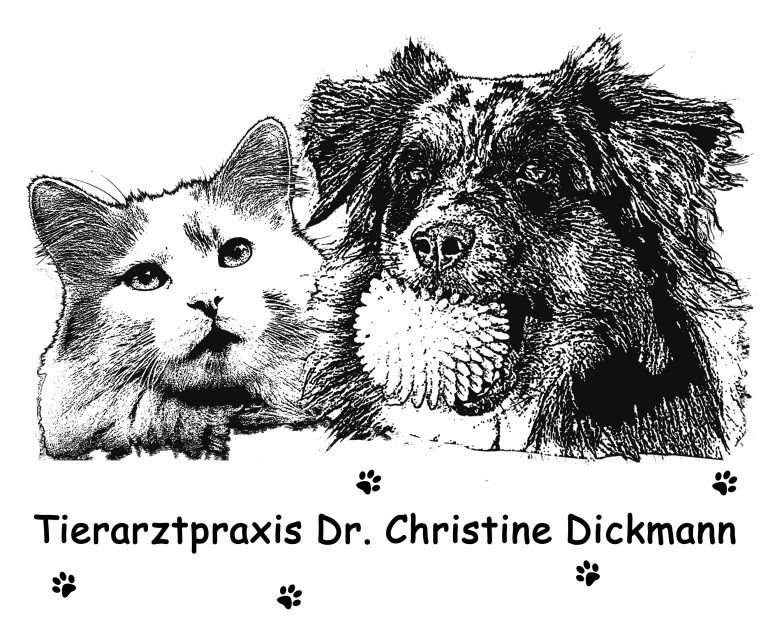 Tierarztpraxis Dickmann